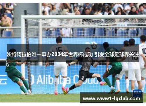 沙特阿拉伯唯一申办2034年世界杯成功 引发全球足球界关注